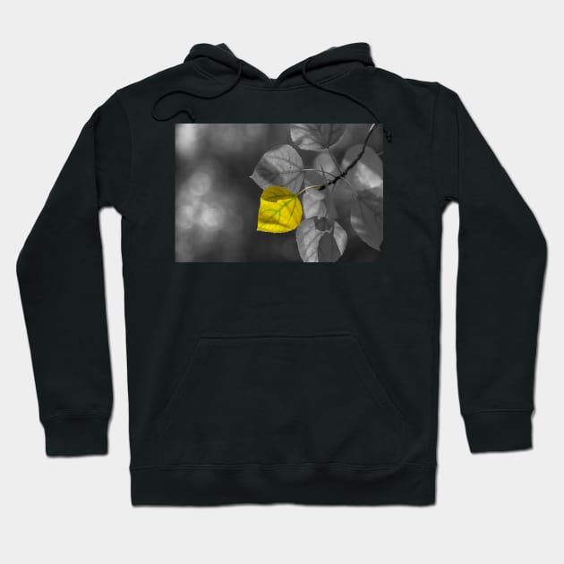 Golden Leaf Hoodie by jvnimages